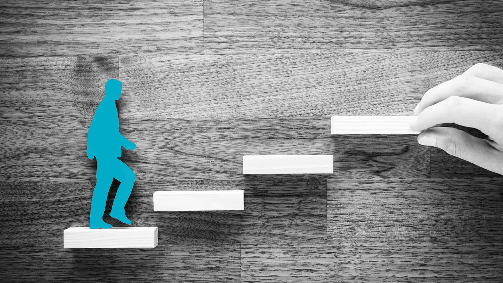 Nova Network Partners, Become a nova network partner