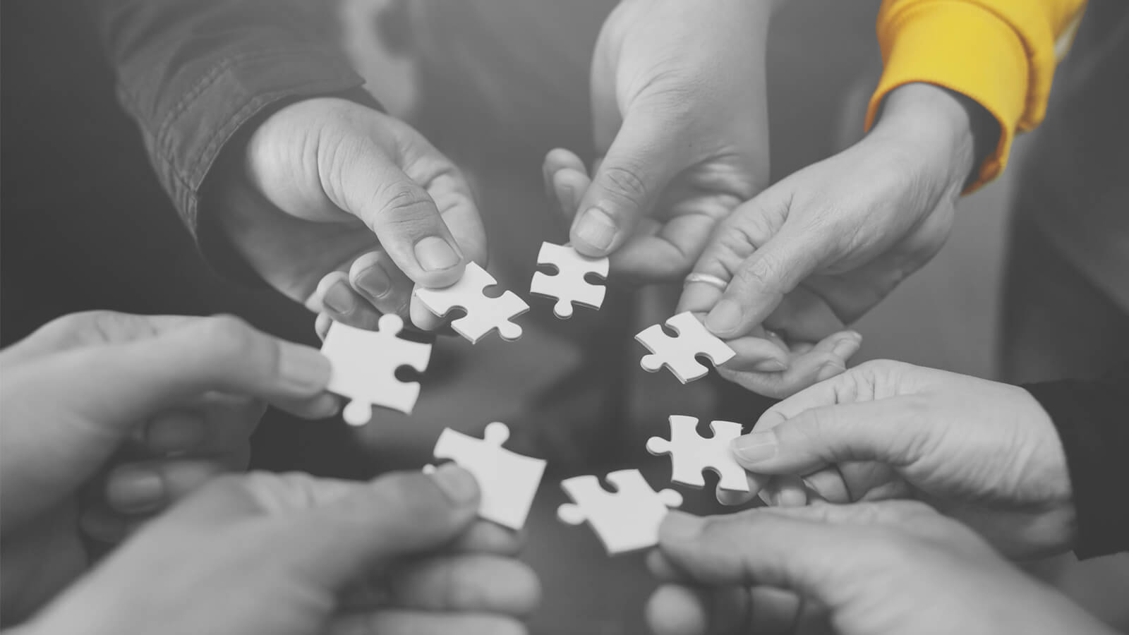 , Technology Partners